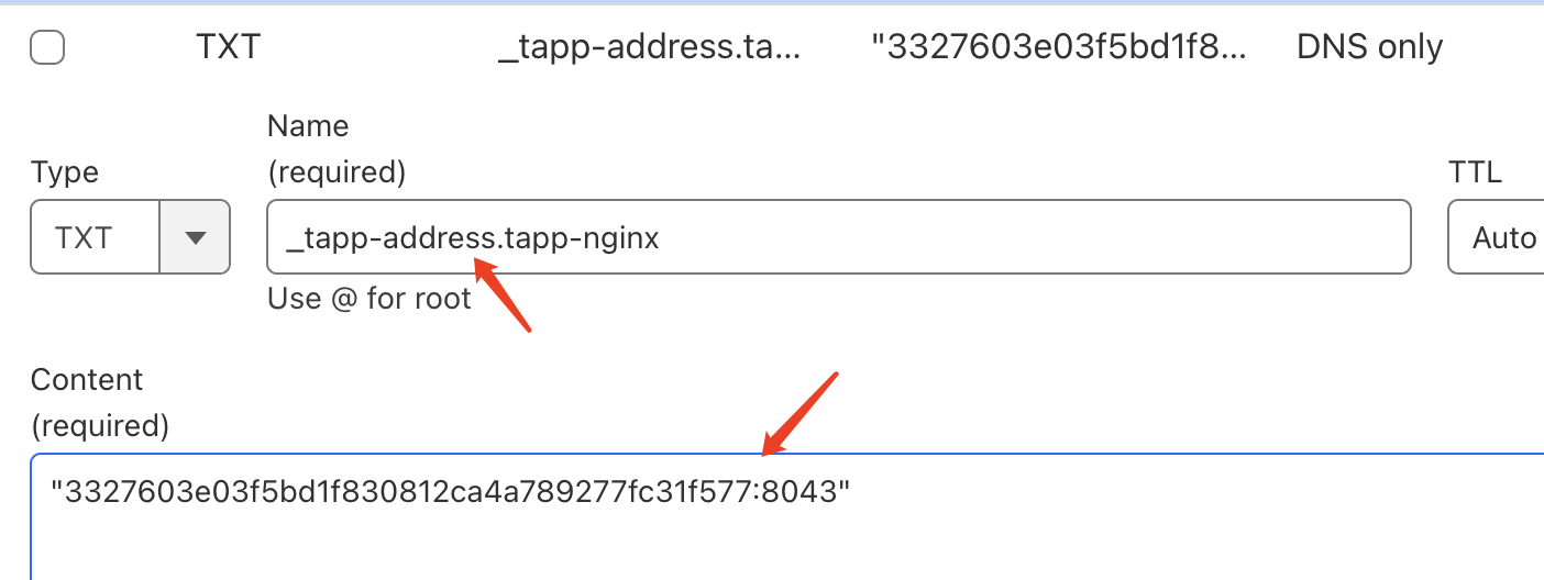 tapp-dns-txt