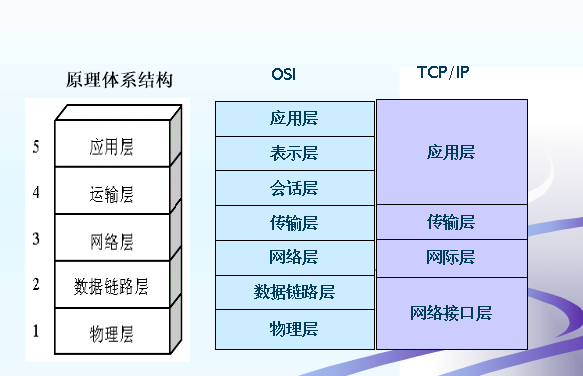 计算机网络体系结构