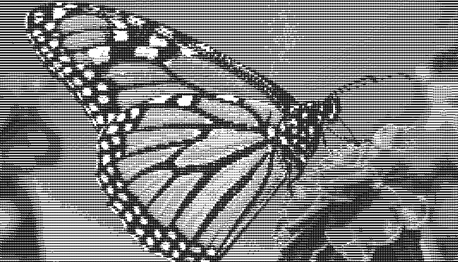 Butterfly ASCII Monochrome