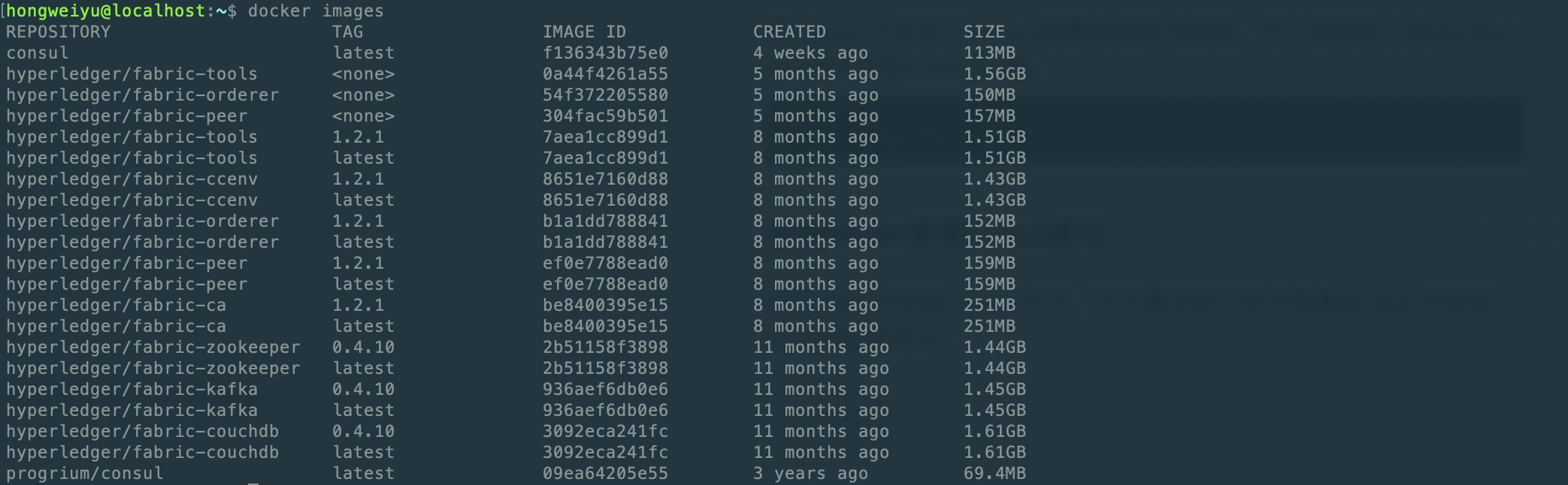 docker中检查是否安装了consul