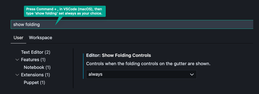 how to enable folding in vscode