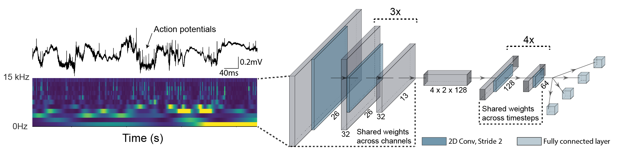 Model Architecture