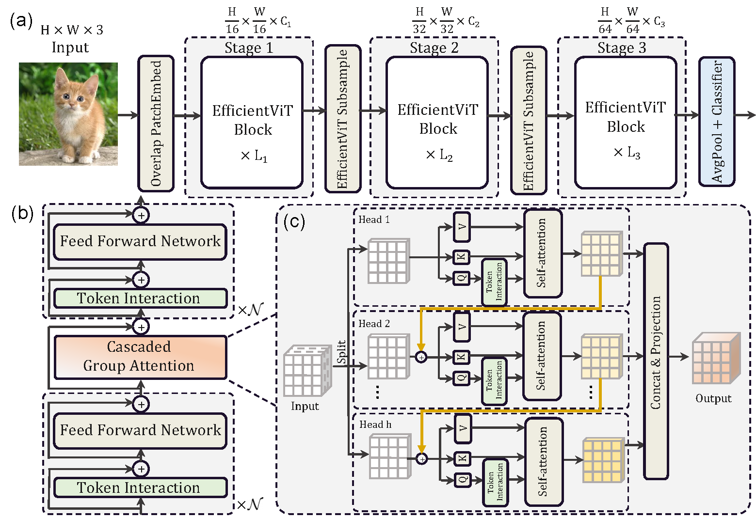 EfficientViT overview