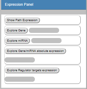 expressionConfig