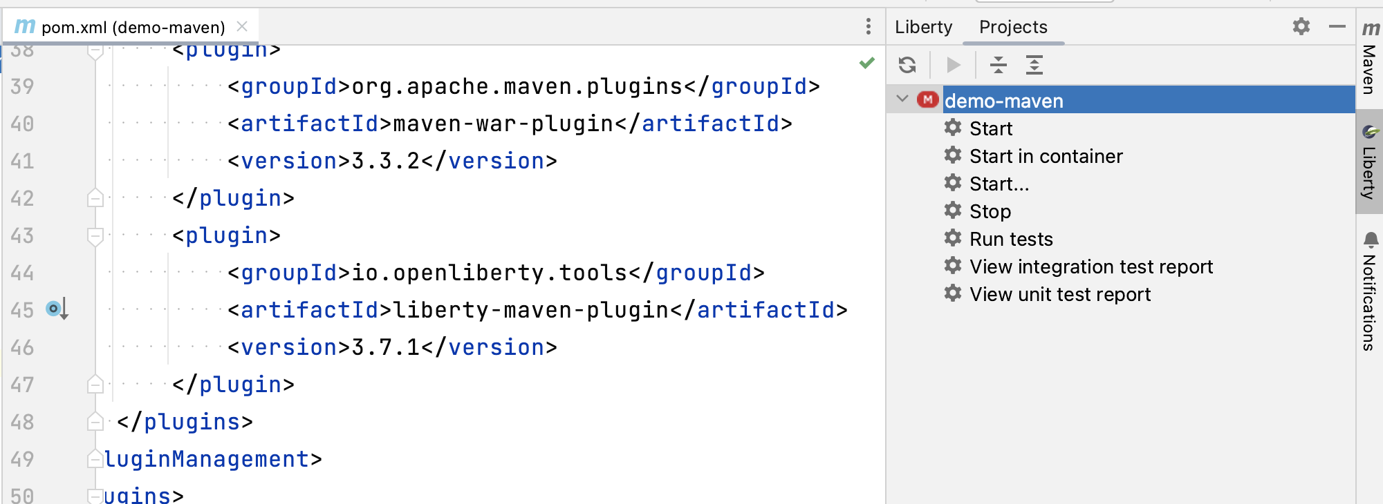 Liberty Tools Extension