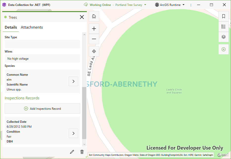 Screenshot of the data collection app for WPF, showing the Portland Tree Survey dataset with an identified feature popup