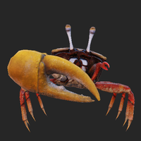 crab