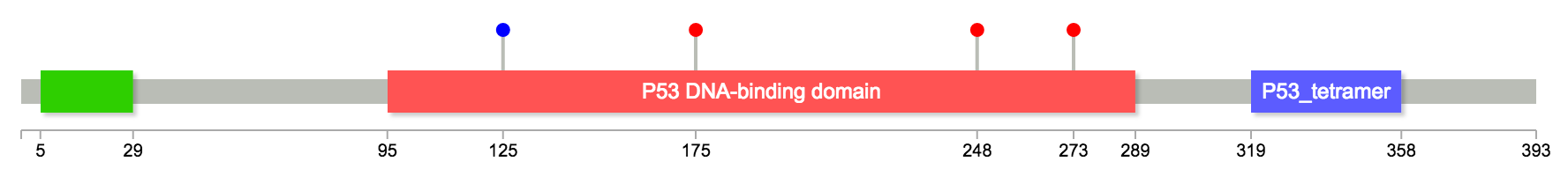 TP53 Lollipop diagram with 4 marked mutations