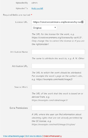 Media item license metadata editor