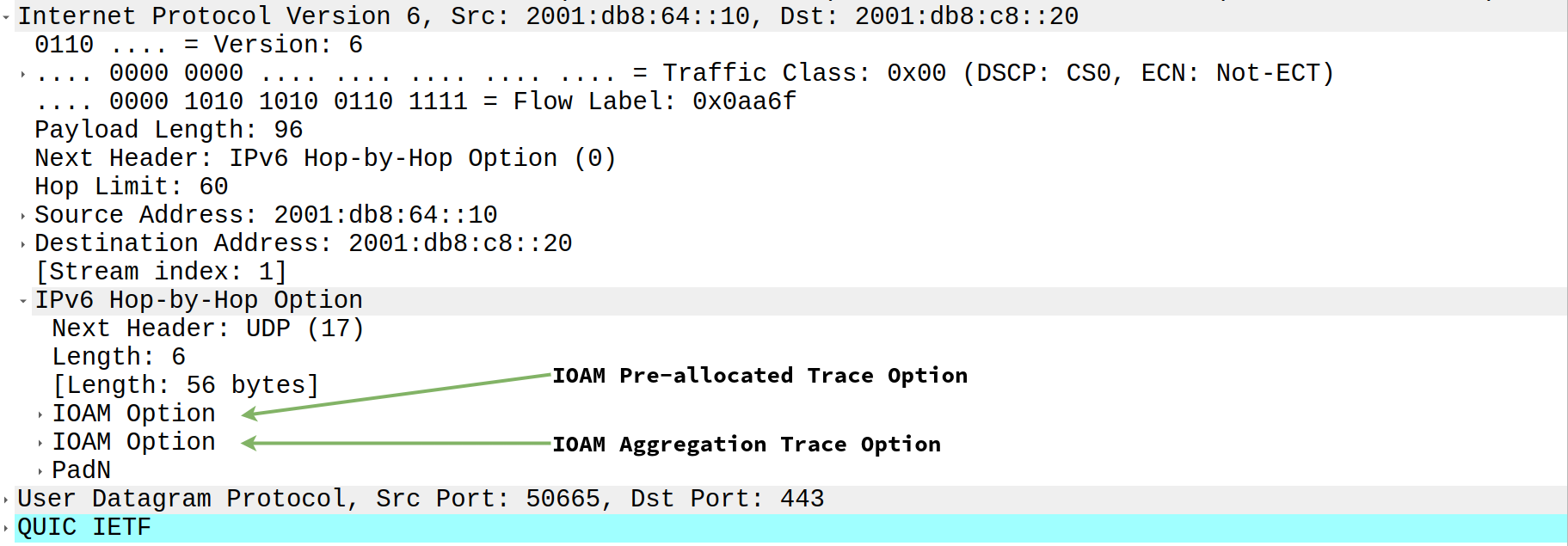 IPv6 Hop by Hop Options Extension Header