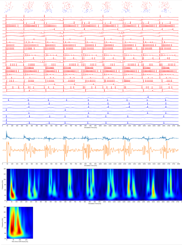 gamma-fingerprint-simulation-output.png