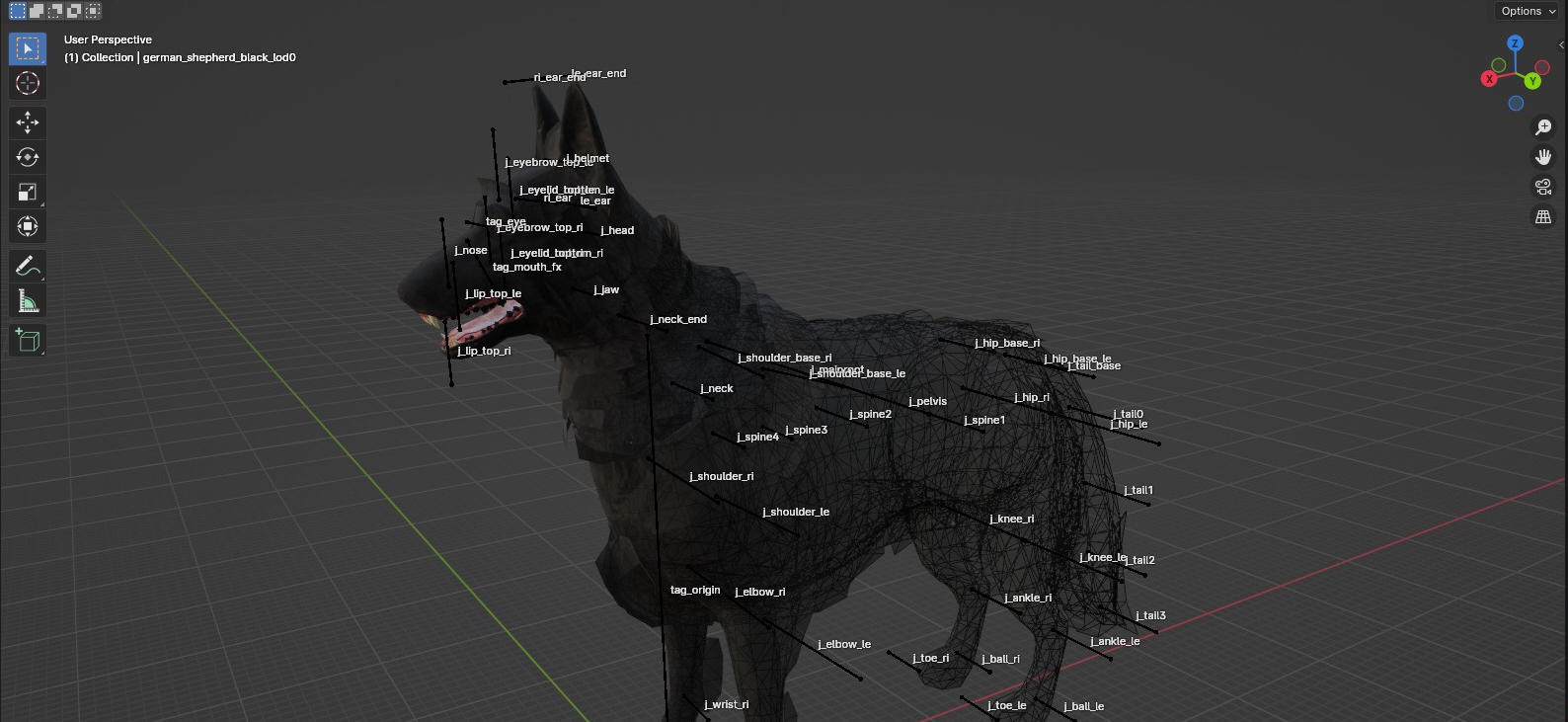 German Shepherd Model in Blender