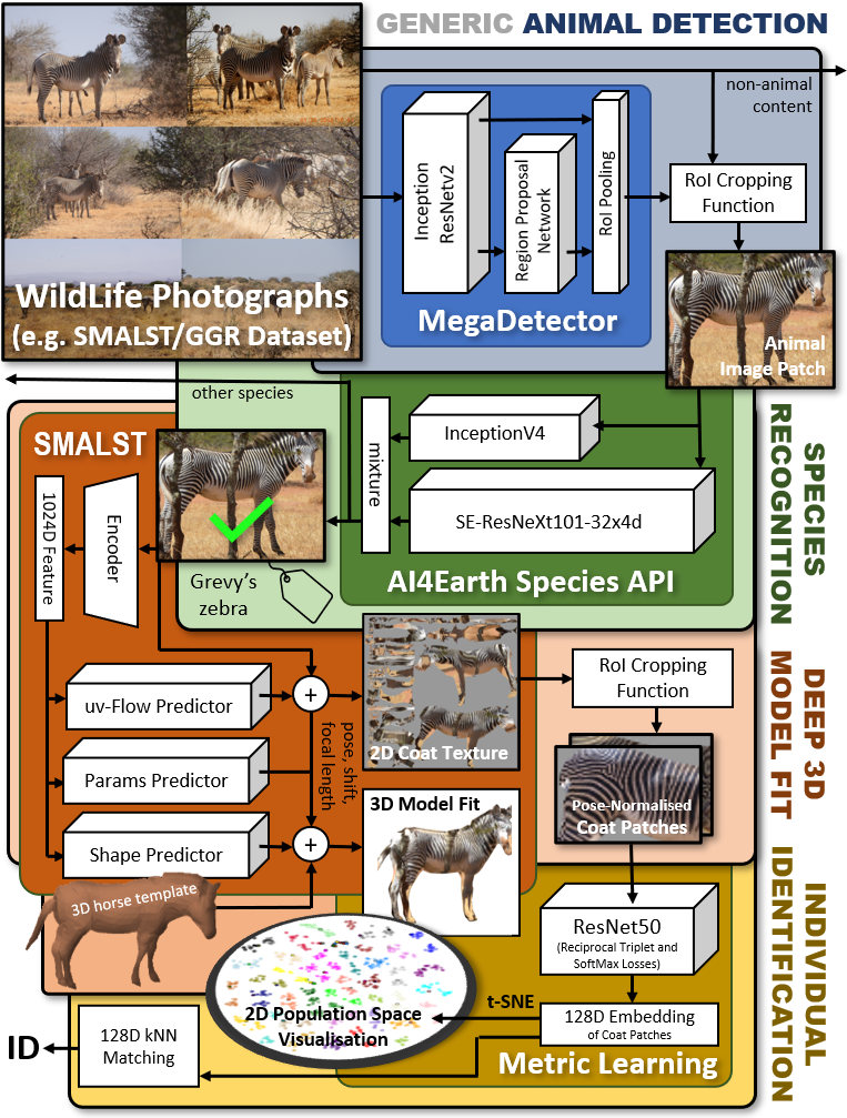 Overview of the pipeline for Grevy Zebra Individual Identification