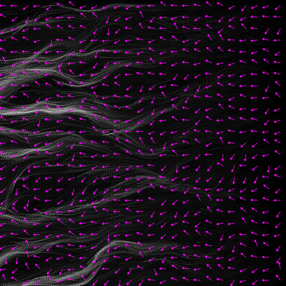 flowField-9w87v.png