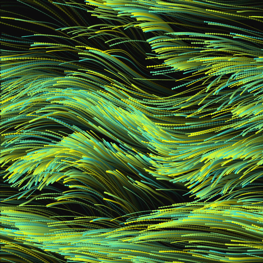 flowField-jp0kk.png