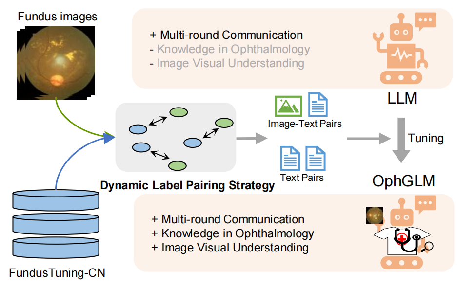 Illustration of Dynamic Label Pairing Strategy