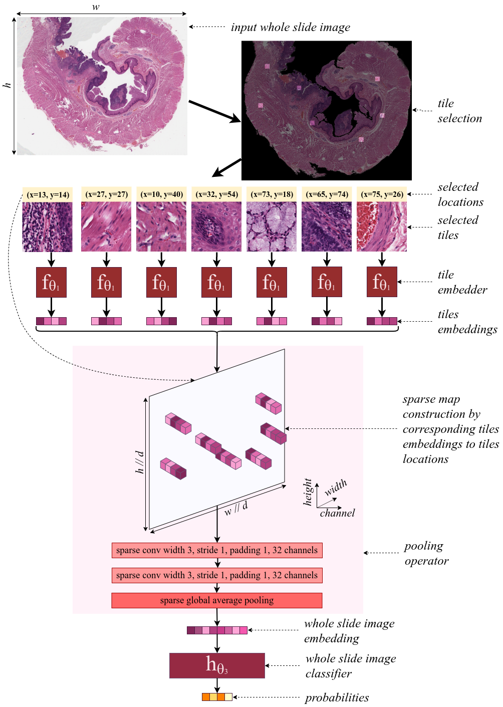 Schematic representation of SparseConvMIL, with a 2-layers sparse-input CNN