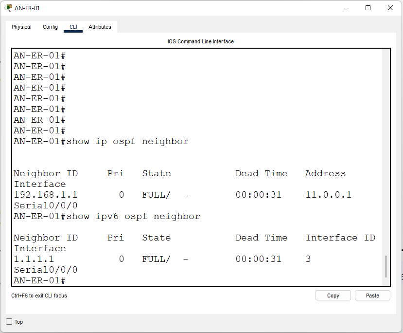 Ankara Router IPV4/IPV6 Routing Table