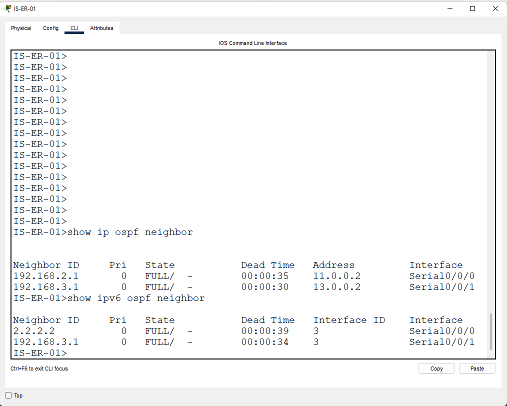 Istanbul Router IPV4/IPV6 Routing Table