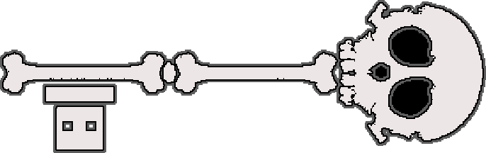 Skeleton Key Logo