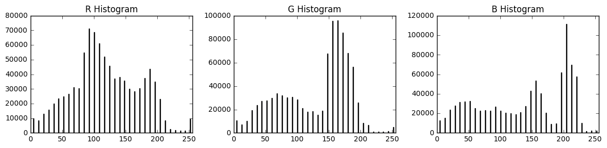 Color histogram