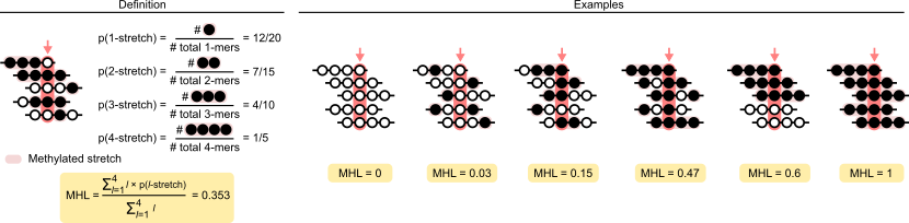 MHL