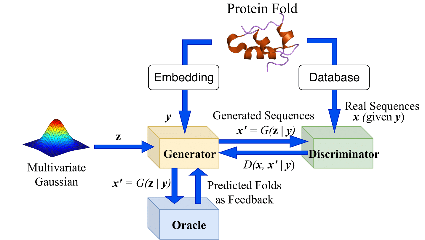 Training-Process