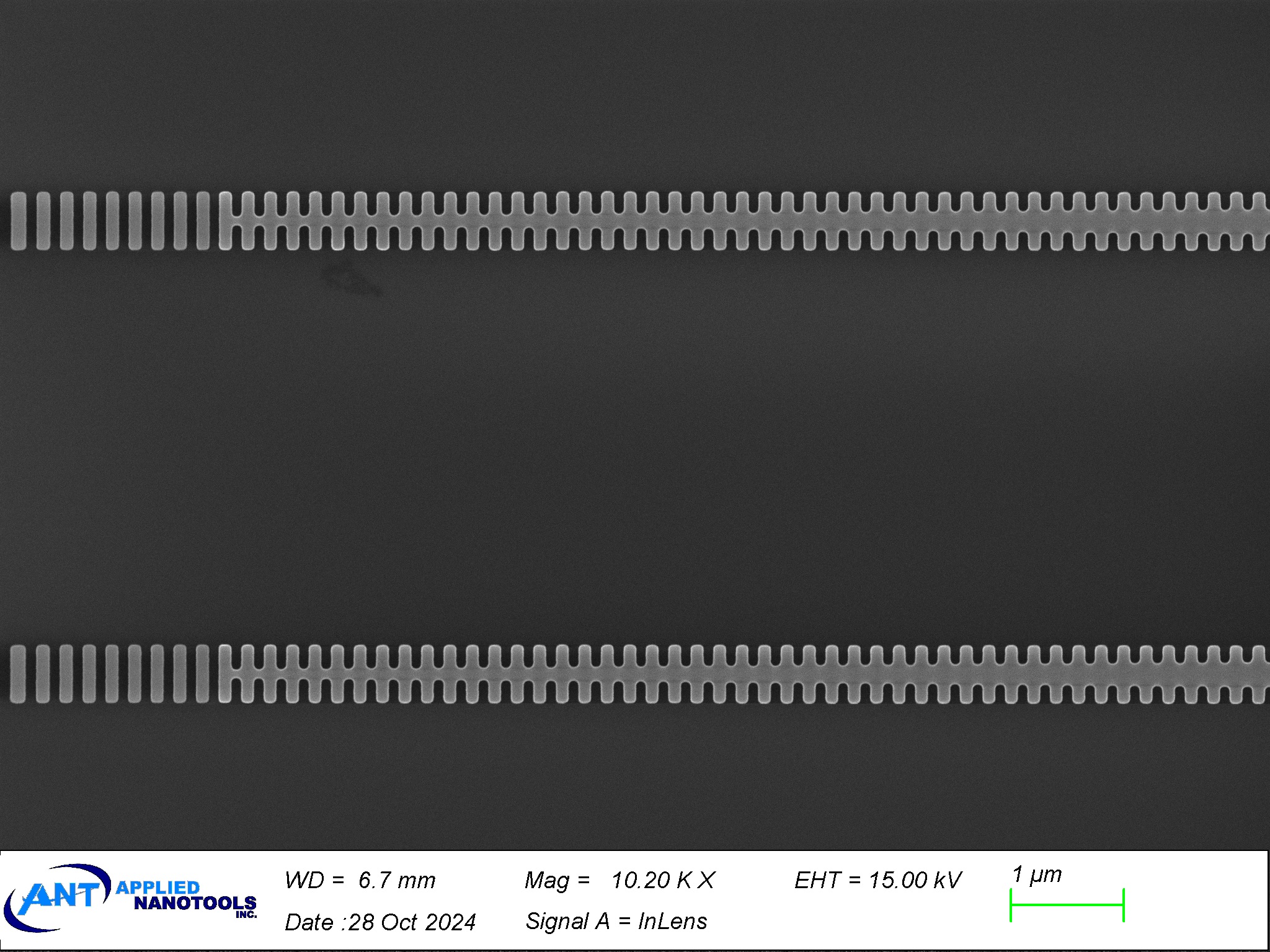 SEM image – subwavelength grating waveguides