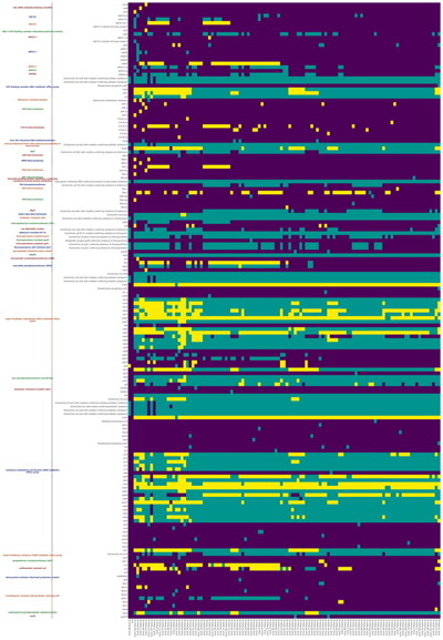 images/heatmap.jpg