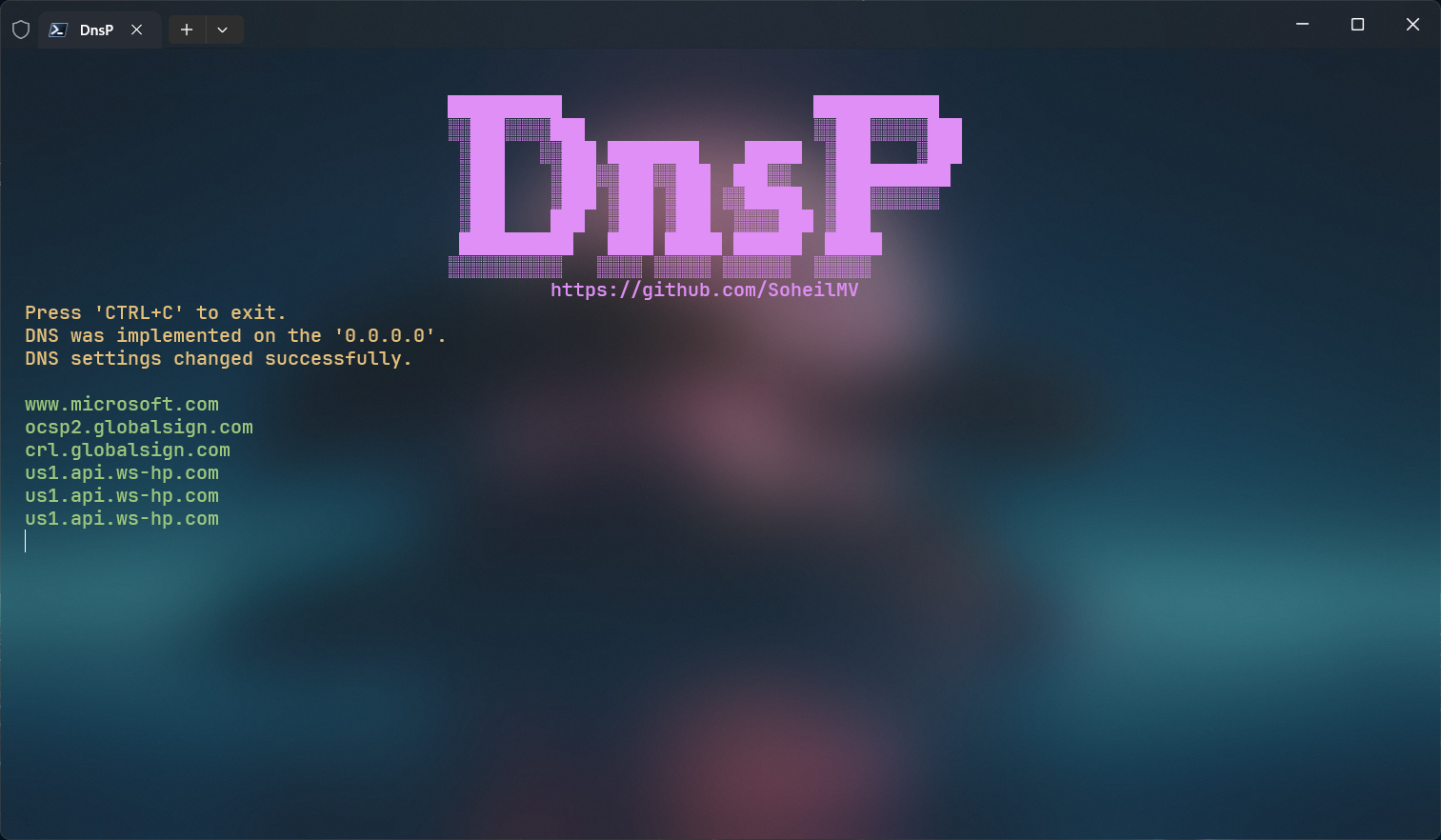 DnsP