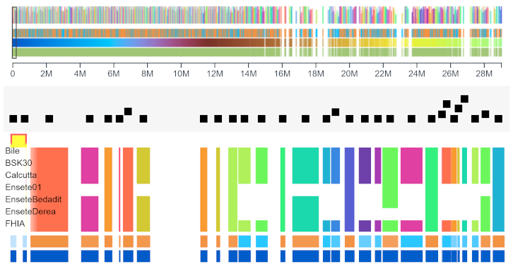 Snapshot of banana data in Panache