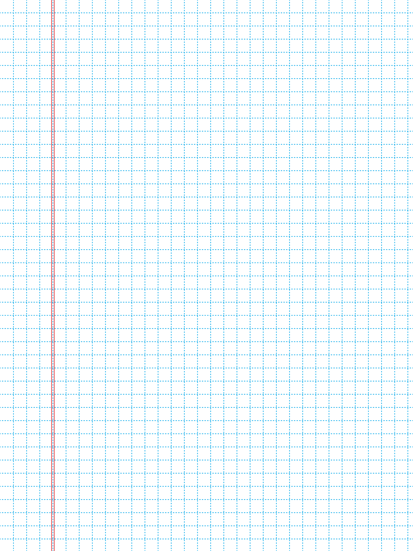 5 mm short dashed grid with a double-line margin