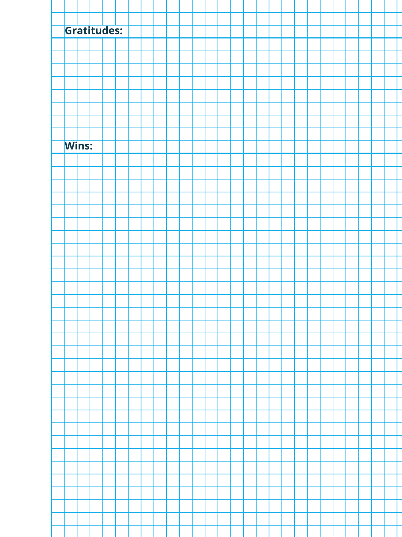 Journaling template with 5 mm grid first page