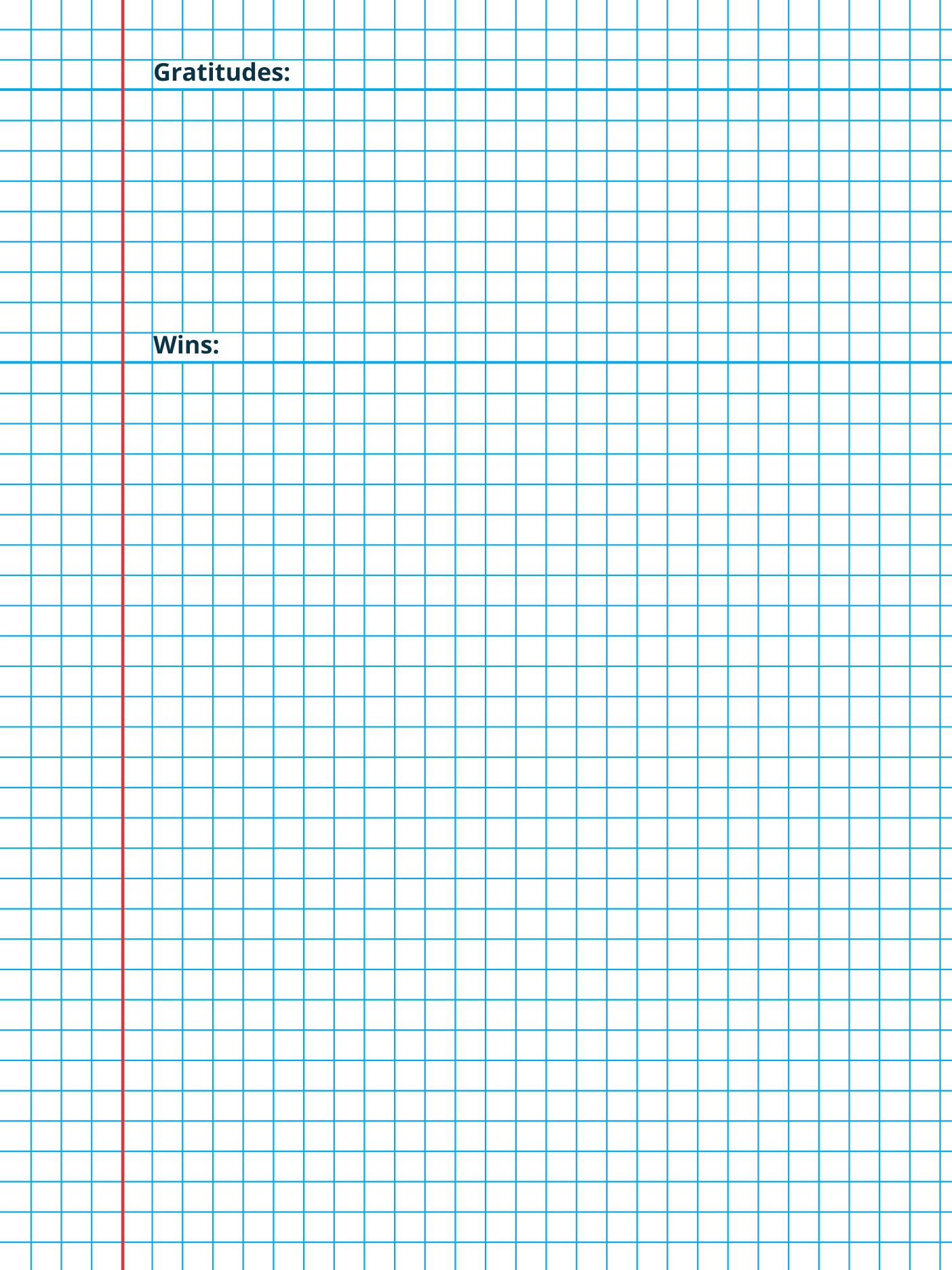 Journaling template with 5 mm grid and a solid margin first page