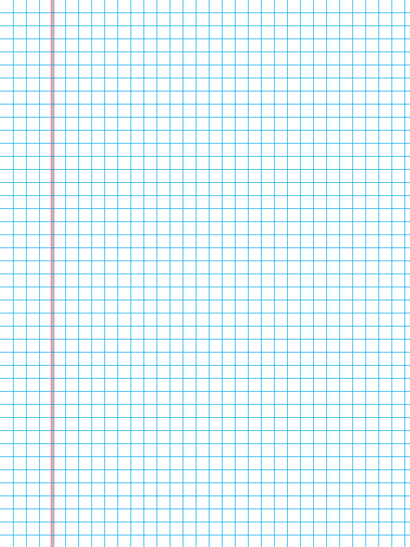 5 mm grid with a double-line margin