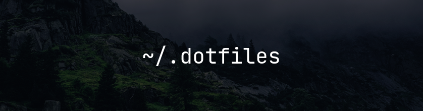 ~/.dotfiles