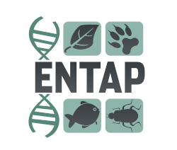 systemsgenetics/entapnf