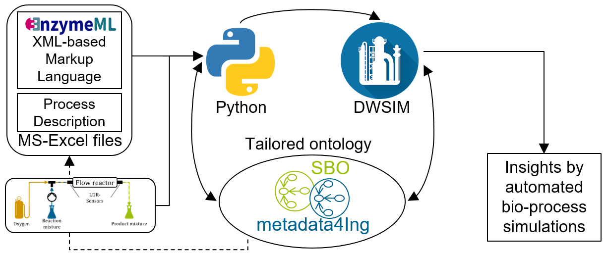 Depiction of the overall process.