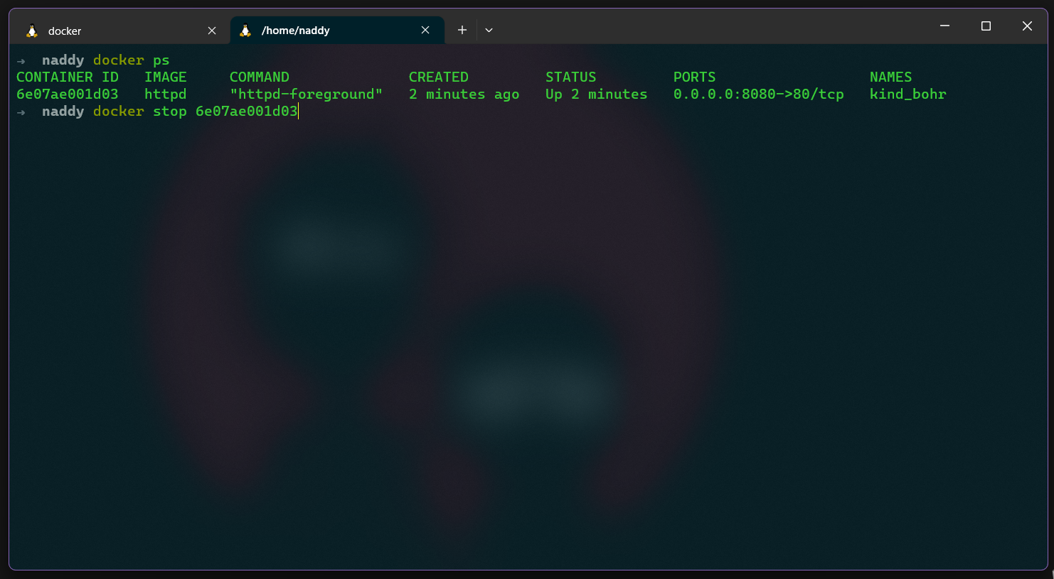 docker cli list command