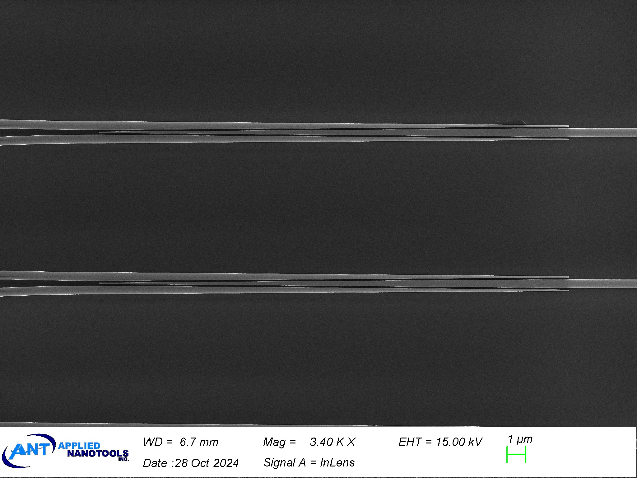 SEM image – adiabatic 1x2 splitter