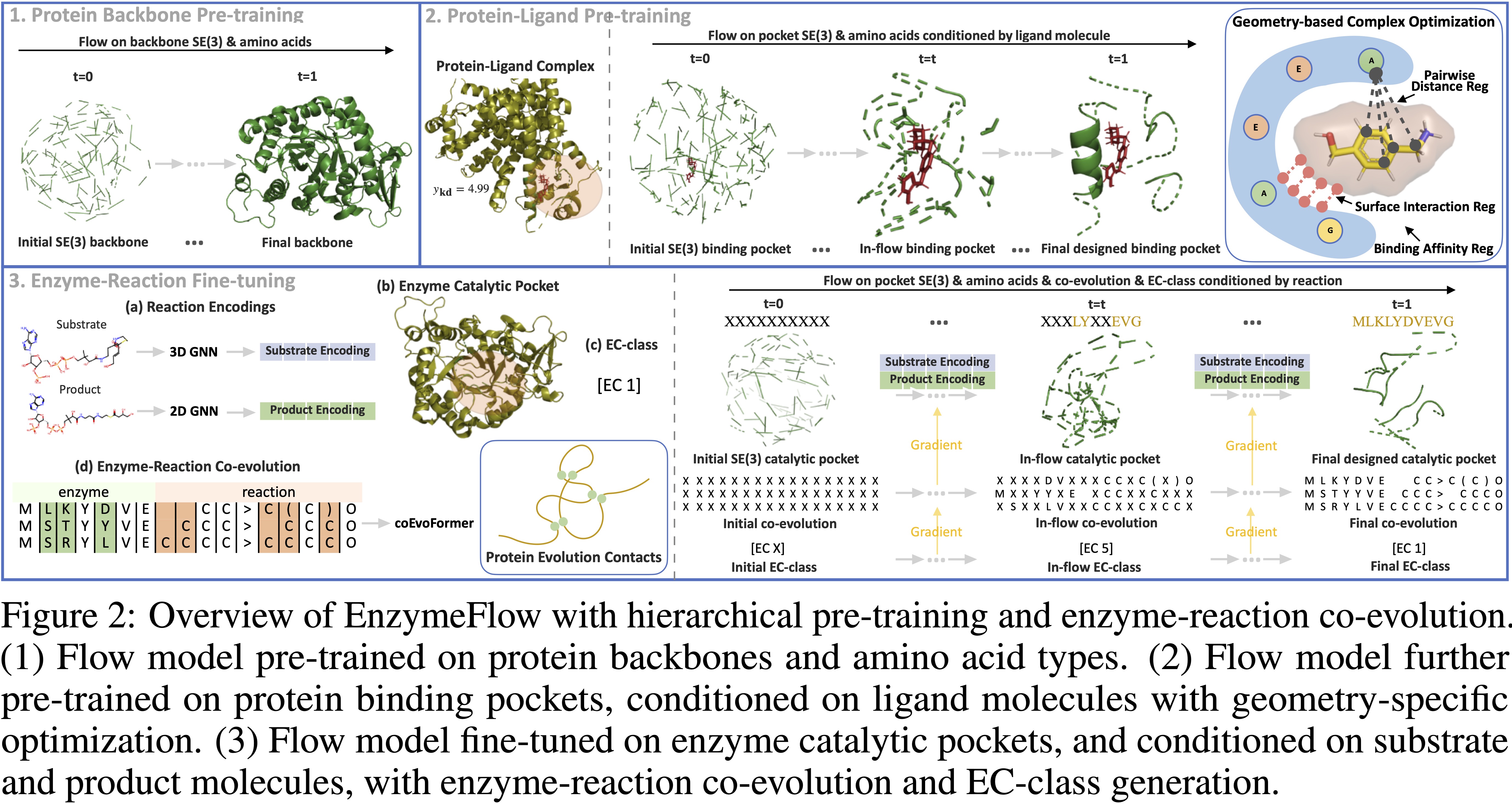 enzymeflow