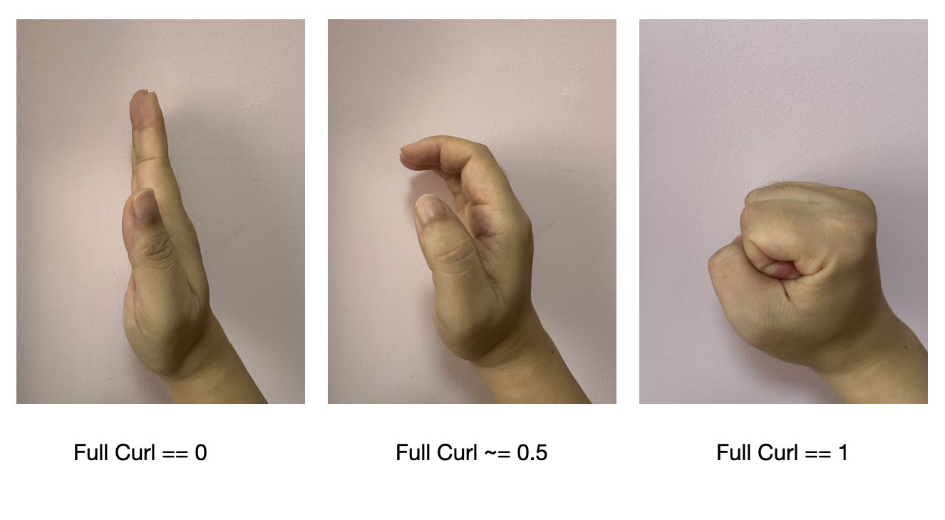 FingerShapFullCurl