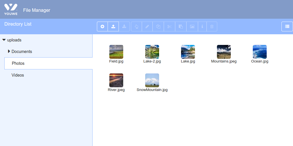 File Manager Interface