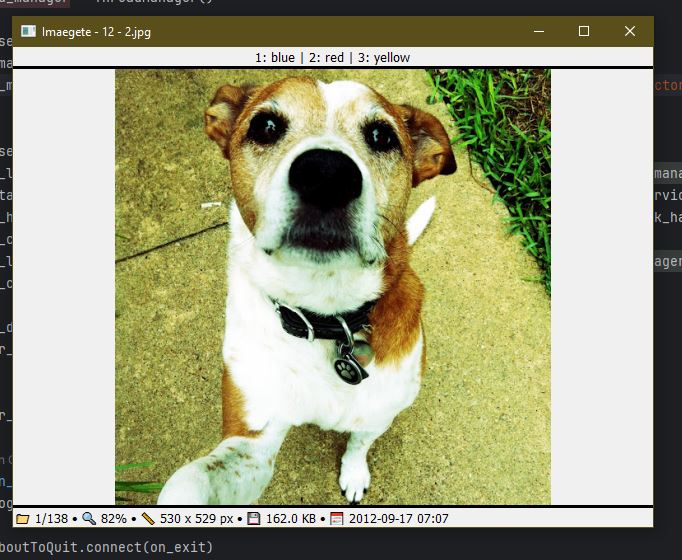 Screenshot of imaegete displaying an image of a dog named Ya-hoo