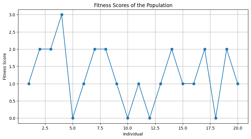 Fitness Calculation Example