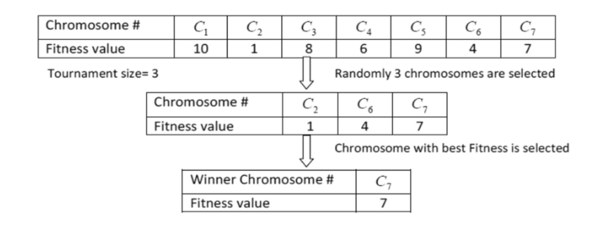 Tournament Selection Example