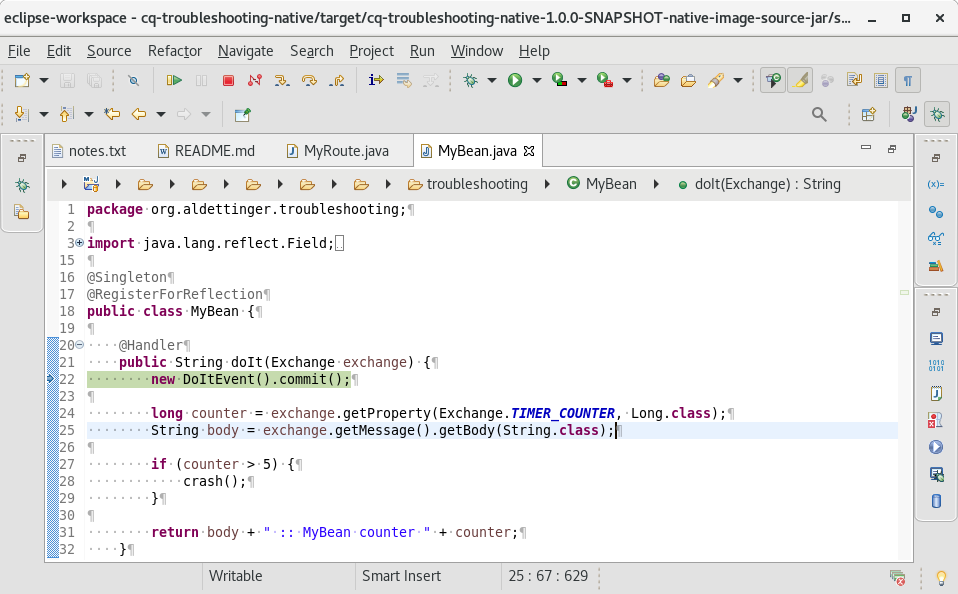 Debugging a native image from eclipse