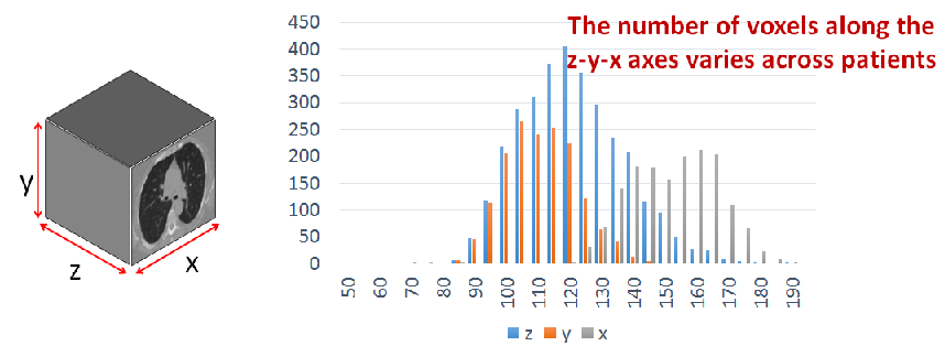 lung_array_size_distribution