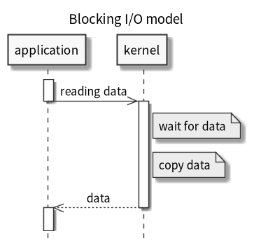 blocking I/O model