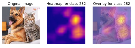 cat_dog_3_heatmap